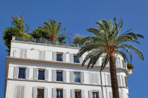 Appartement palmier